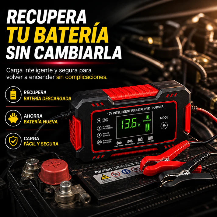 Cargador Reparador Inteligente de Baterías